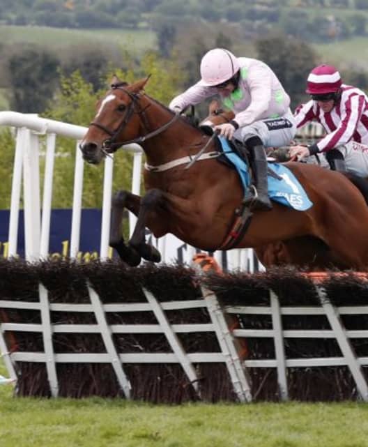 Punchestown Racecourse