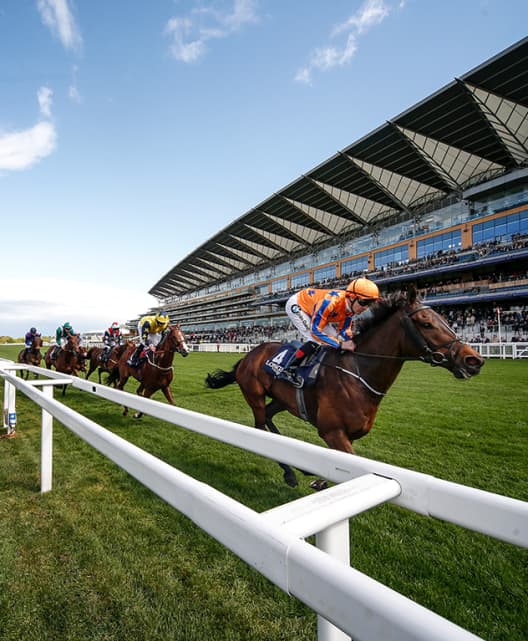 Ascot Racecourse