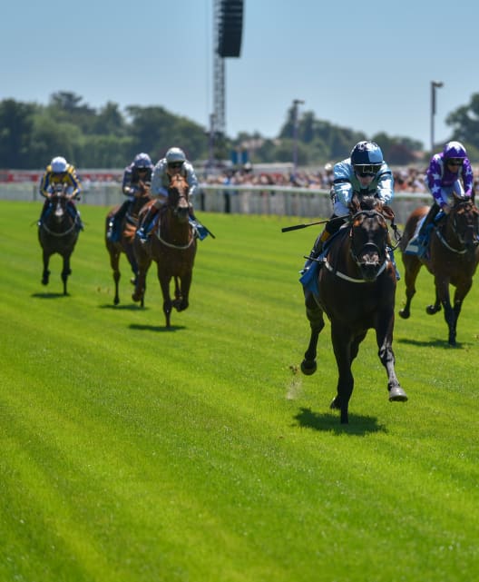 York Racecourse