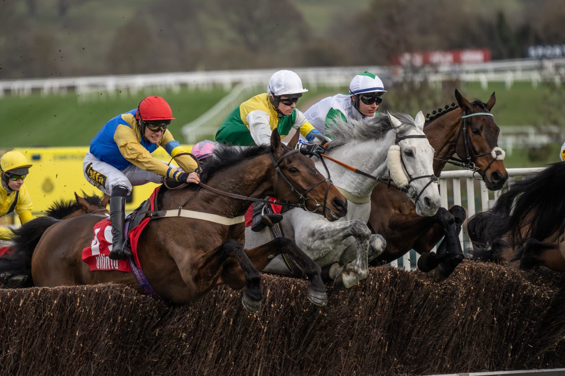 The Cheltenham Festival Race Schedule - Hospitality Finder