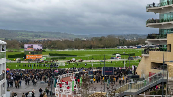 Views of Cheltenham Racecourse from a balcony