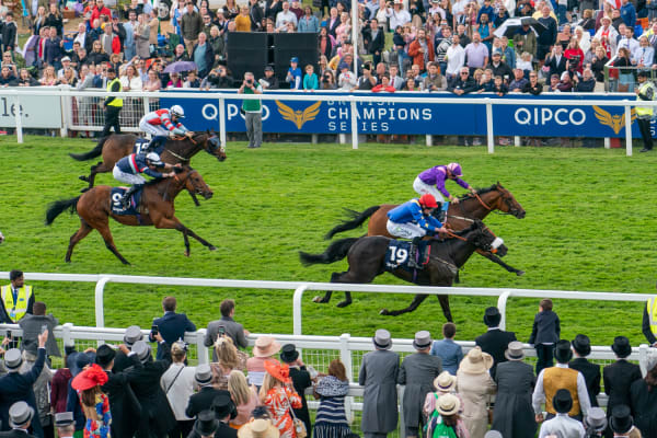 Jump Racing For Profit May, Peter - Broché - May, Peter - Achat