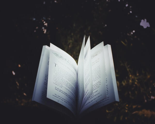 A book flipping through pages. A book flipping through pages.