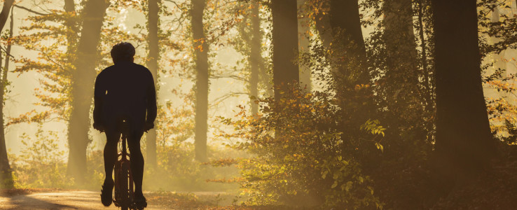 Man riding bicycle through forest