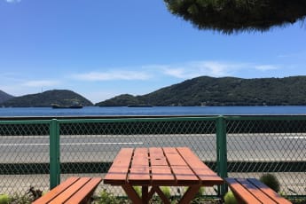 Shodoshima - Olive YH : 