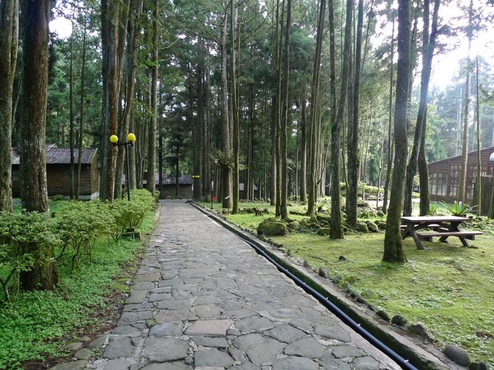 Xitou Youth Activity Centre Nantou Chinese Taipei - 