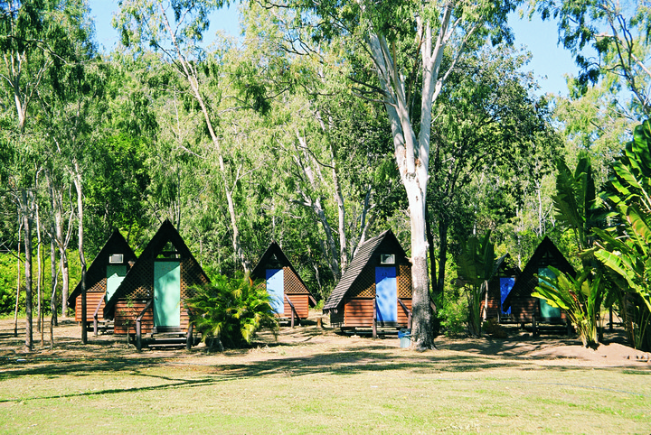 Koala Sanctuary Magnetic Island Prices Koala Sanctuary Magnetic Island Prices