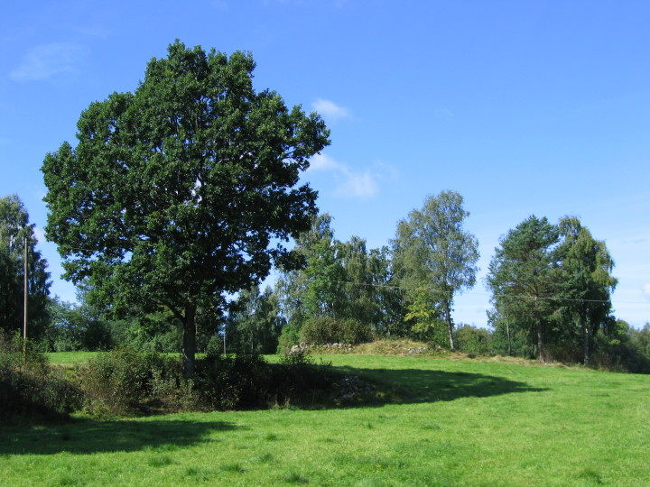 Ljungby single damer