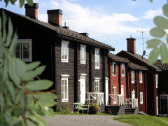 knutby singel kvinna