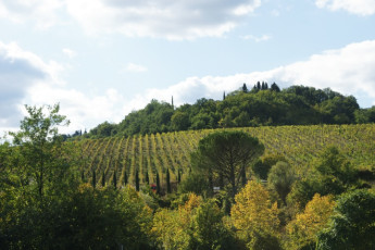 Florence - Ostello del Chianti : Florença Tavarnelle Chianti YH entrada