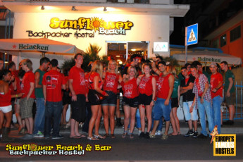 Sunflower Beach Backpacker Hostel : 