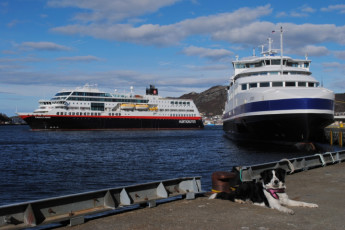 HI Bodø : Bodø port