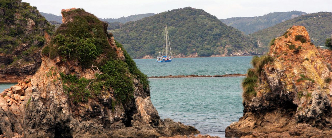 Experience the stunning bay of islands on New Zealands biggest houseboat - with snorkeling and dolphin spotting!