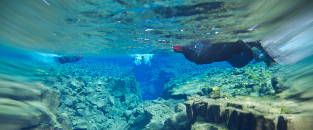 Day tour Snorkelling at Silfra