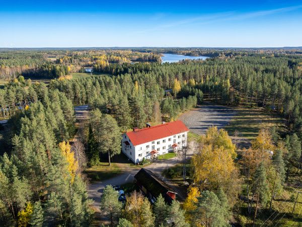 Kangaskoti