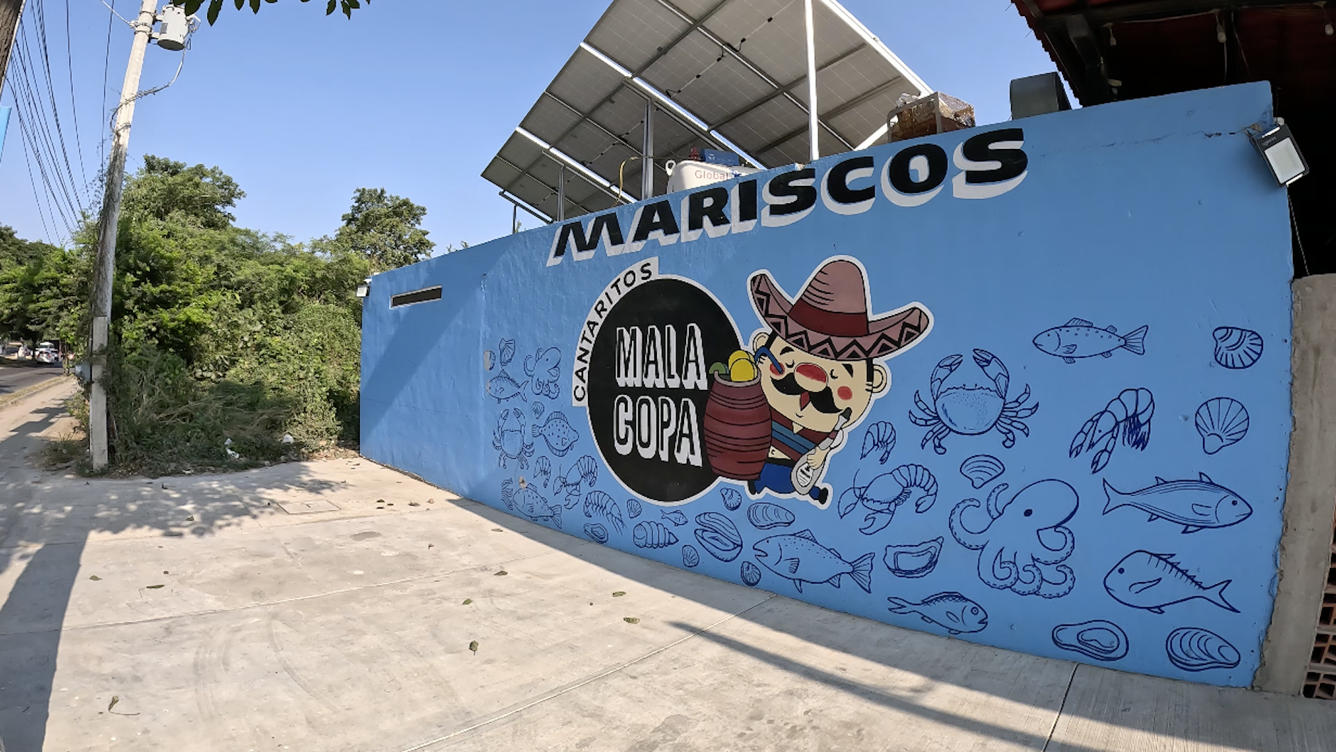 Cantaritos Mala Copa 4