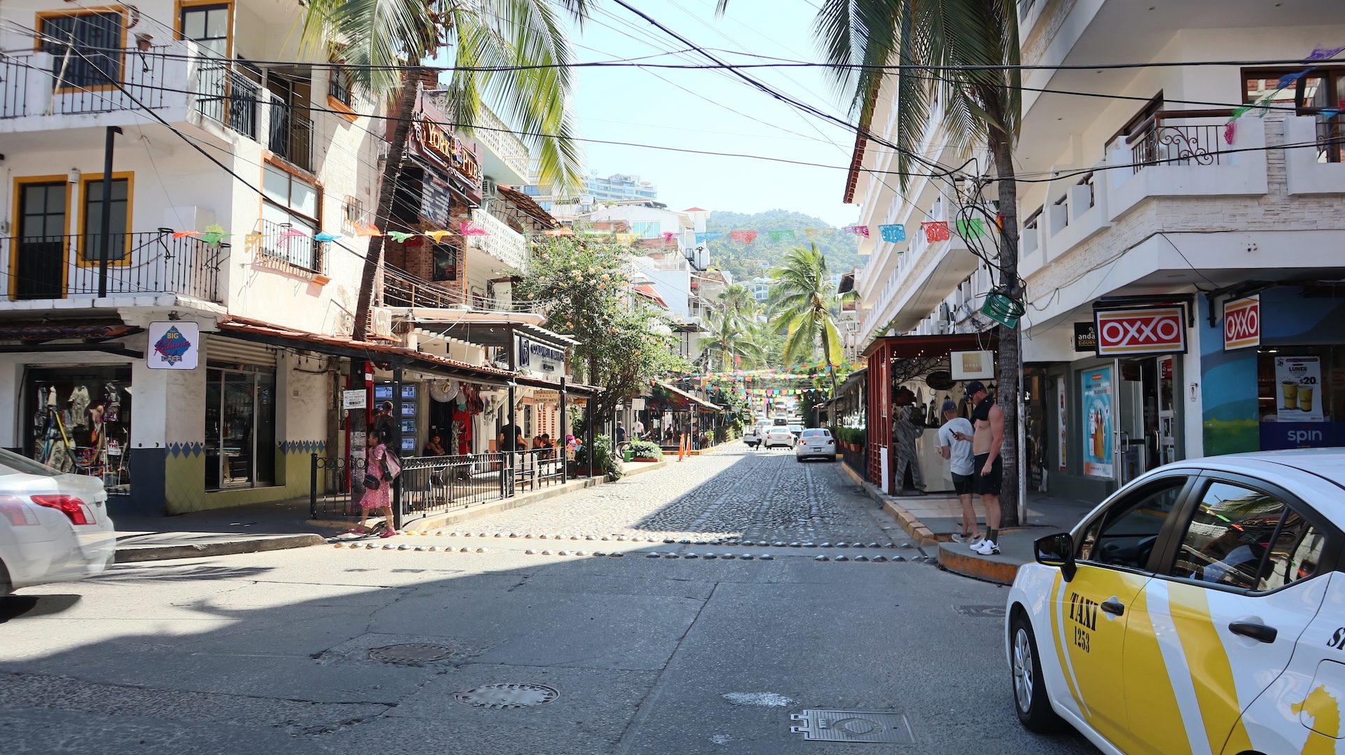 The Romantic Zone of Puerto Vallarta: The Bohemian and Cultural Heart of Old Vallarta 5
