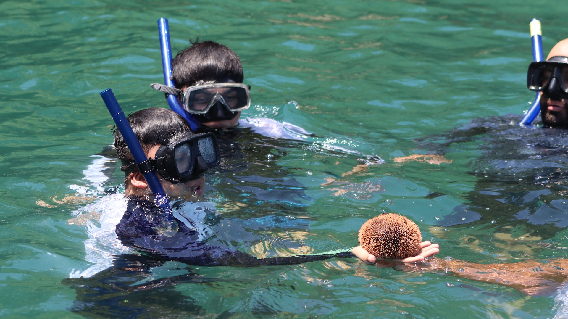 What to Do in Puerto Vallarta? 3