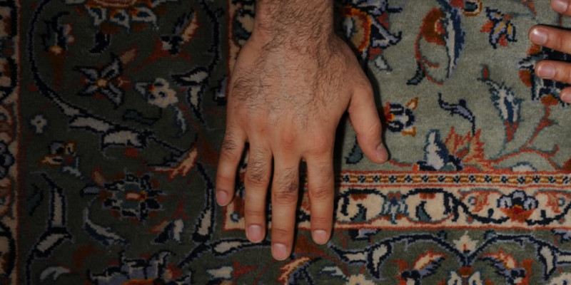 Our Persian Rug - Hot Docs