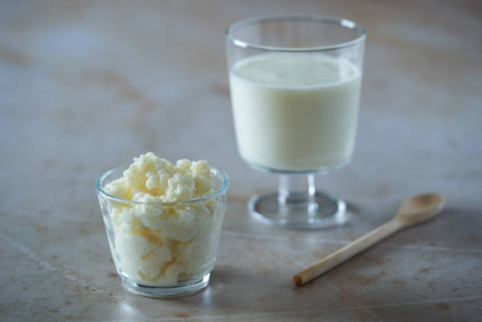Kefir grains and strained kefir