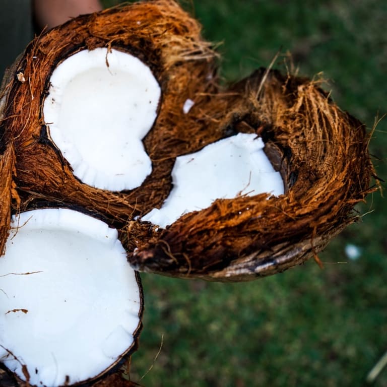 10 surprising uses of coconut oil