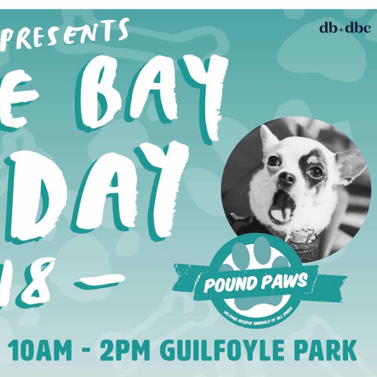 Dog Yoga @ Double Bay Dog Day 2018