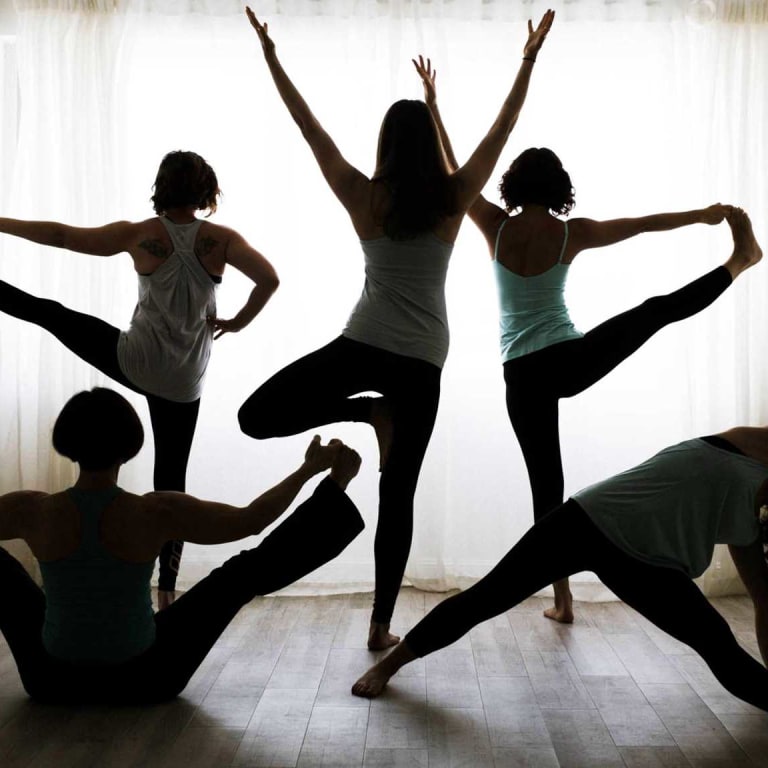 Hot Dog Yoga’s classes – decoded!