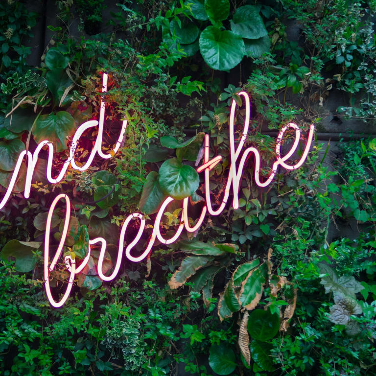 Top tips to stay calm over the festive season