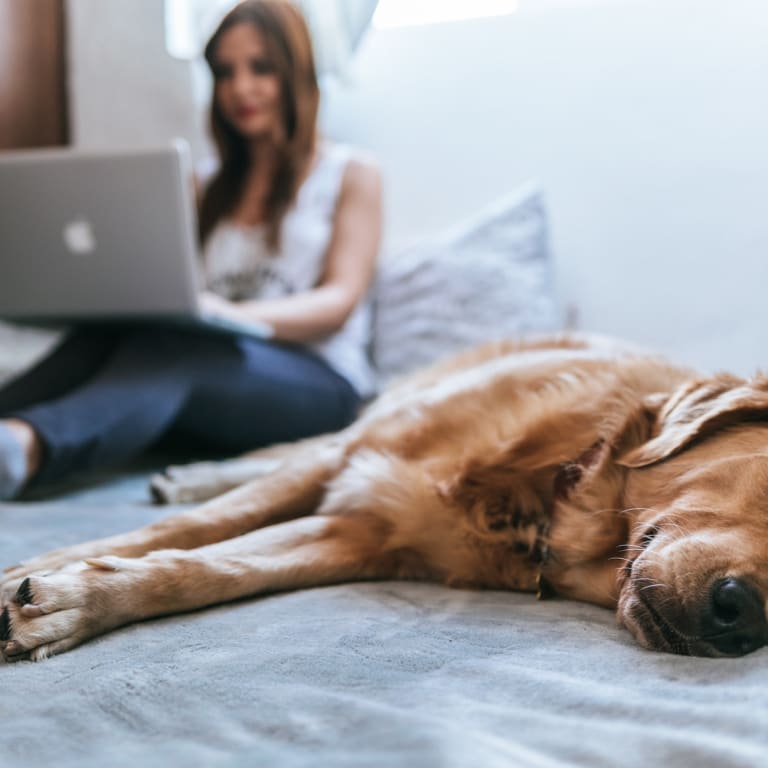 5 yoga poses to help insomnia