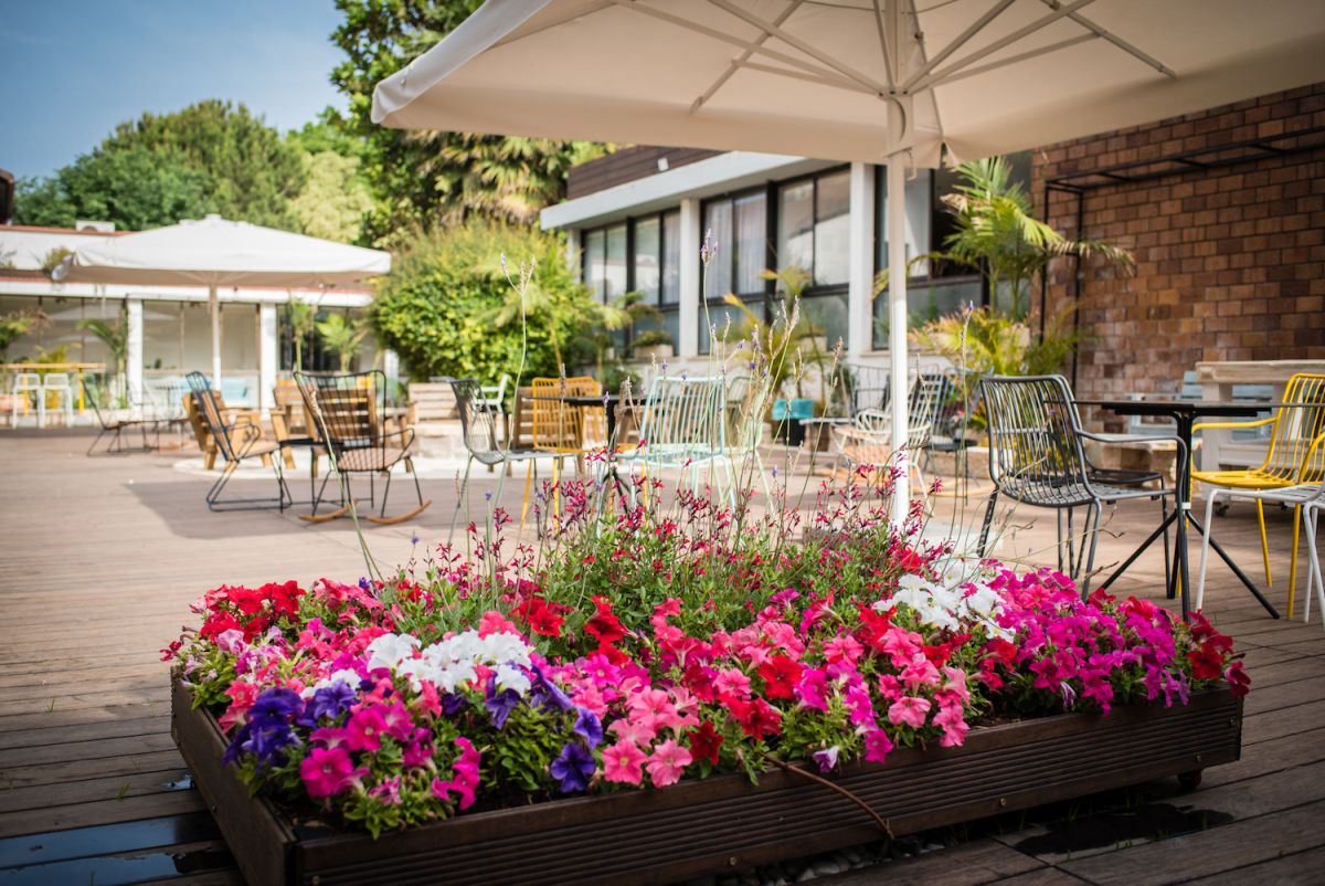 Hotel Image 1