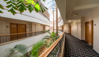 לאונרדו פריוילג אילת -פתאל