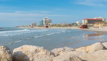 מלון הרודס הרצליה - מרשת פתאל