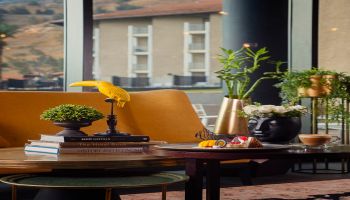 מלון לייקהאוס כנרת החדש