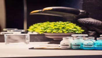 מלון לייקהאוס כנרת החדש