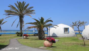 מלון כפר הנופש דור - טנטורה