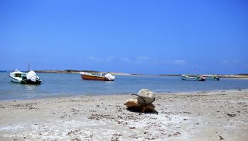 מלון כפר הנופש דור - טנטורה