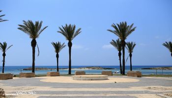 מלון כפר הנופש דור - טנטורה