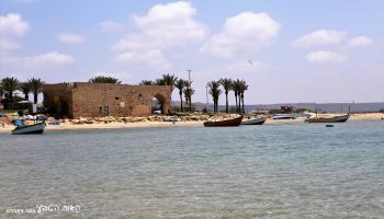 מלון כפר הנופש דור - טנטורה