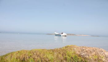 מלון כפר הנופש דור - טנטורה