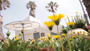 מלון כפר הנופש דור - טנטורה