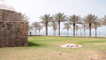 מלון כפר הנופש דור - טנטורה