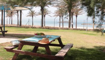 מלון כפר הנופש דור - טנטורה