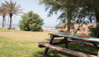 מלון כפר הנופש דור - טנטורה