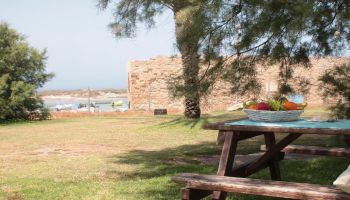 מלון כפר הנופש דור - טנטורה