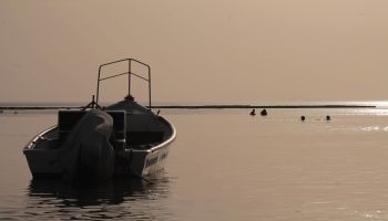 מלון כפר הנופש דור - טנטורה