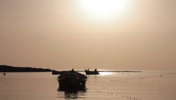 מלון כפר הנופש דור - טנטורה