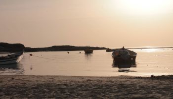 מלון כפר הנופש דור - טנטורה