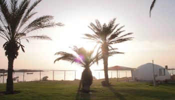 מלון כפר הנופש דור - טנטורה