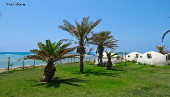 מלון כפר הנופש דור - טנטורה