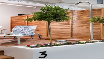 מלון אואזיס ספא קלאב